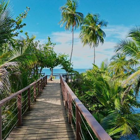 Oso Perezoso Pool Villa Puerto Viejo de Talamanca Экстерьер фото