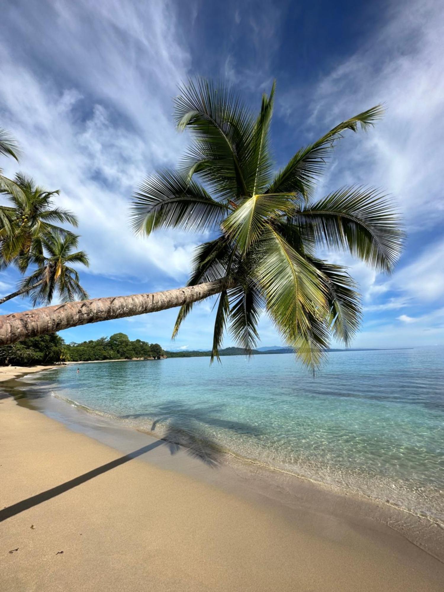Oso Perezoso Pool Villa Puerto Viejo de Talamanca Экстерьер фото