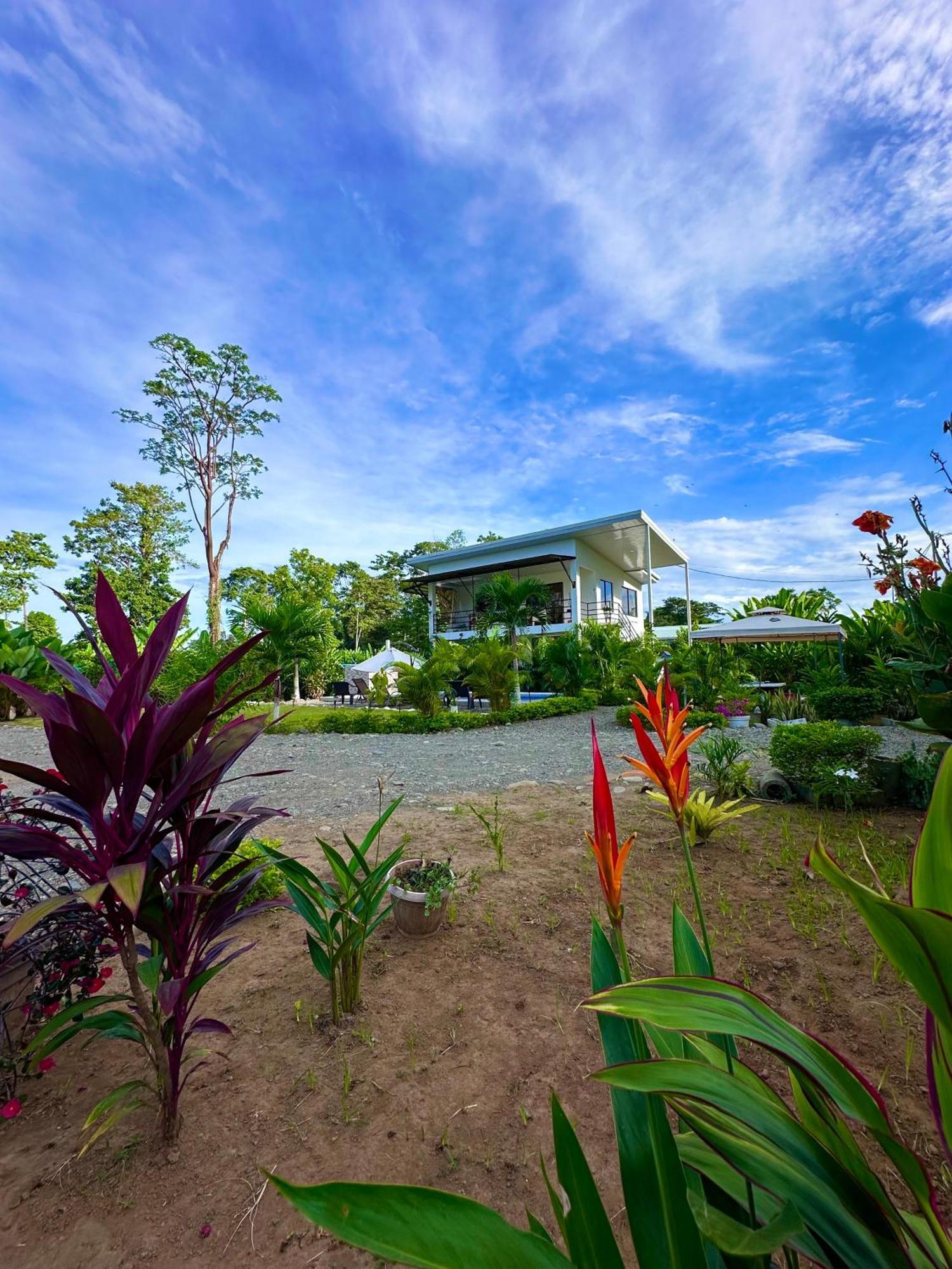 Oso Perezoso Pool Villa Puerto Viejo de Talamanca Экстерьер фото
