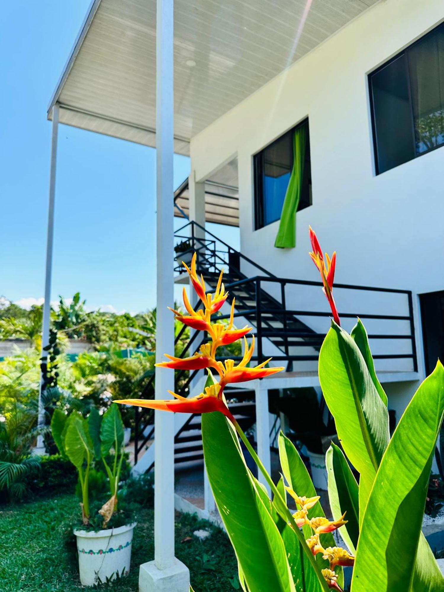 Oso Perezoso Pool Villa Puerto Viejo de Talamanca Экстерьер фото
