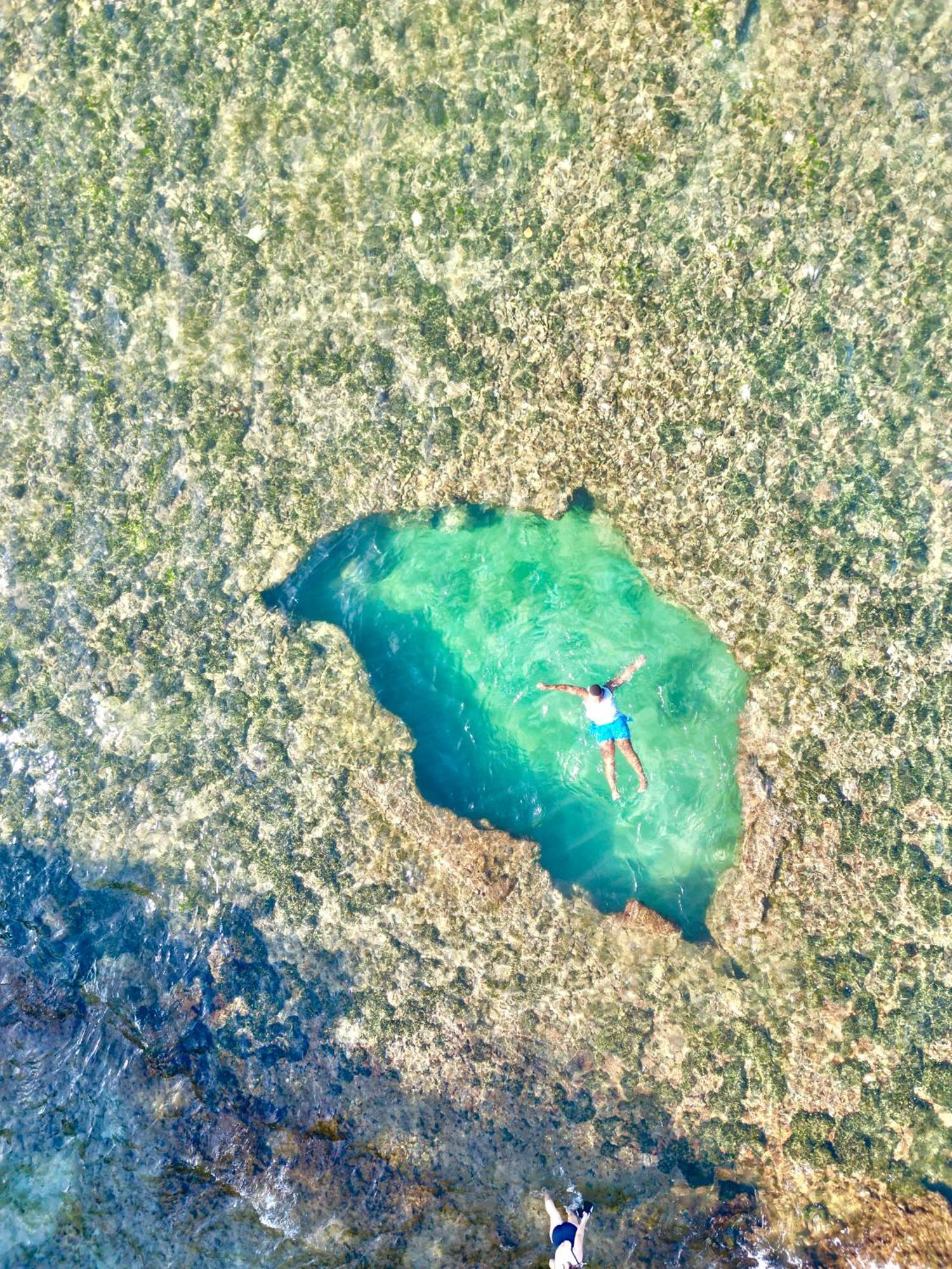 Oso Perezoso Pool Villa Puerto Viejo de Talamanca Экстерьер фото