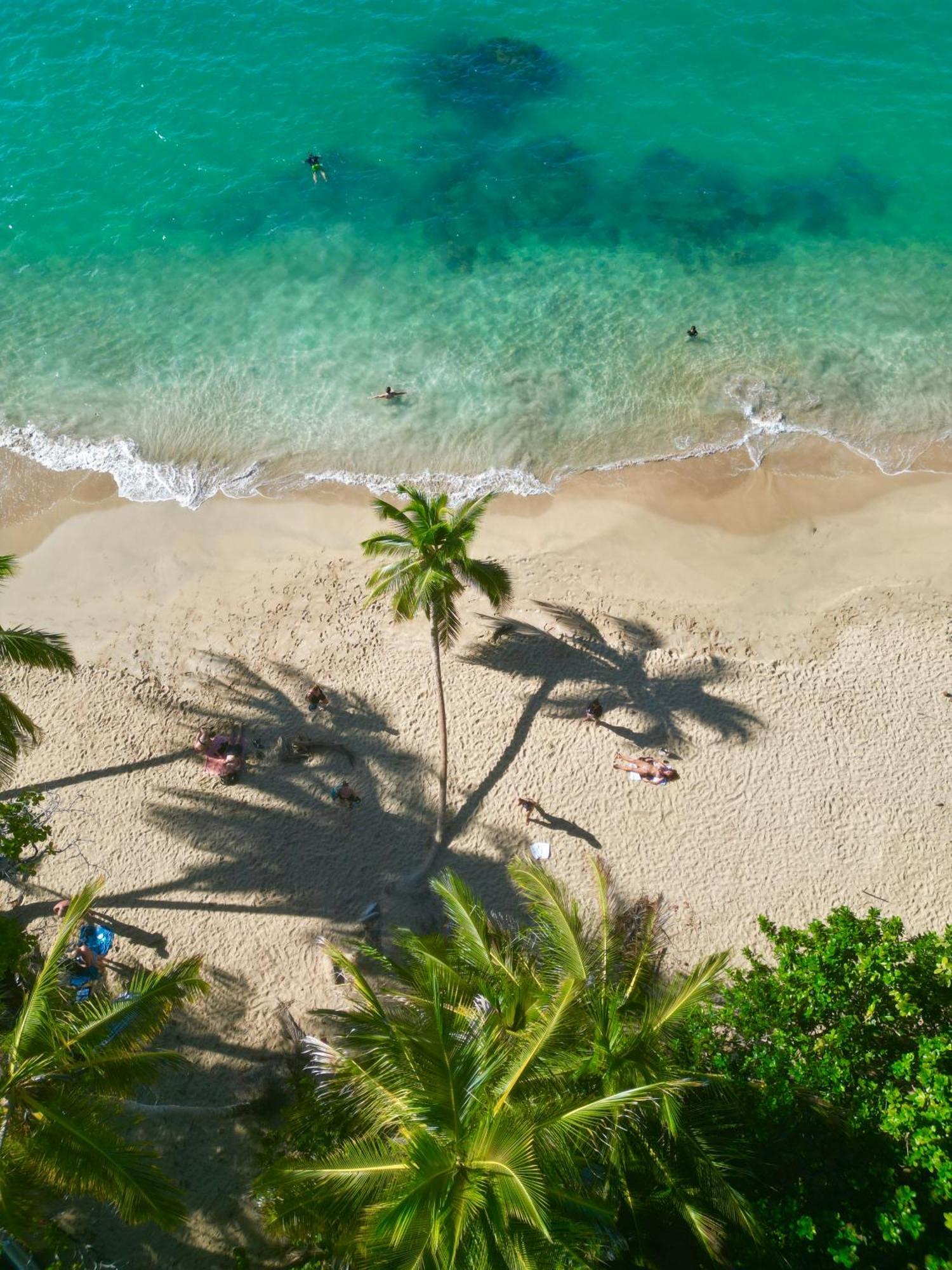 Oso Perezoso Pool Villa Puerto Viejo de Talamanca Экстерьер фото