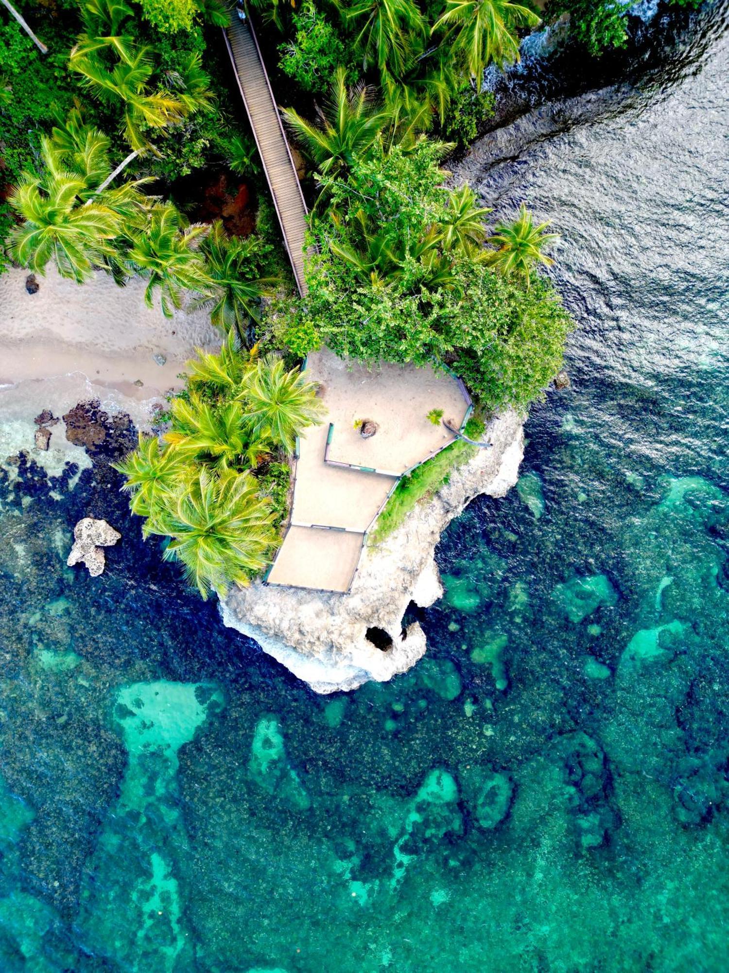 Oso Perezoso Pool Villa Puerto Viejo de Talamanca Экстерьер фото