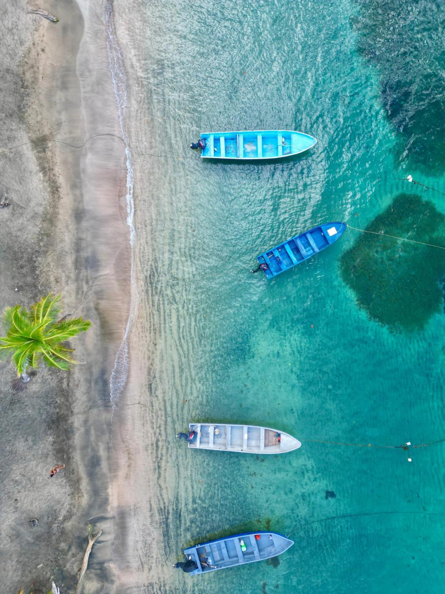 Oso Perezoso Pool Villa Puerto Viejo de Talamanca Экстерьер фото